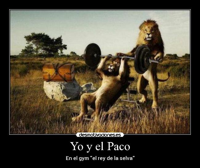 Yo y el Paco - En el gym el rey de la selva