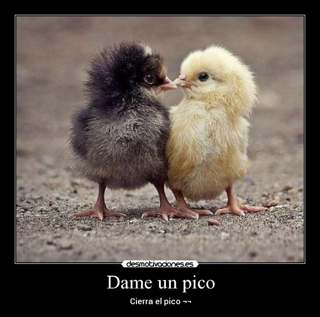 carteles lavy desmotivaciones