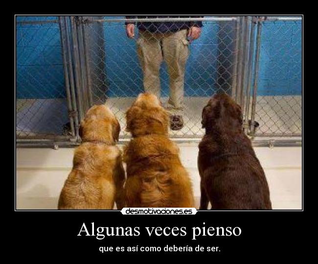 Algunas veces pienso -