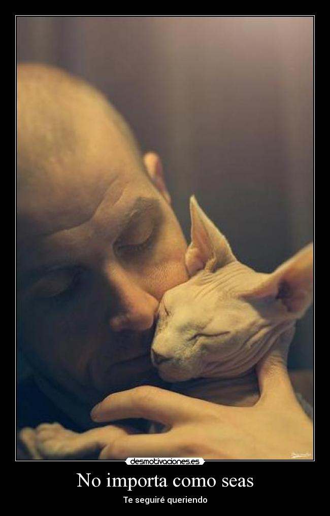 No importa como seas - Te seguiré queriendo