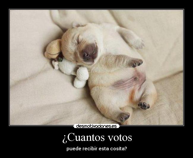 ¿Cuantos votos - puede recibir esta cosíta?