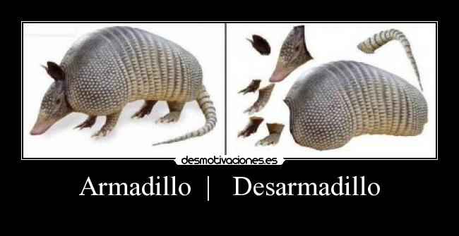 Armadillo | Desarmadillo -