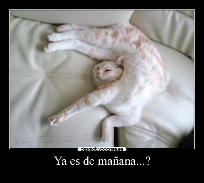 Ya es de mañana...? -