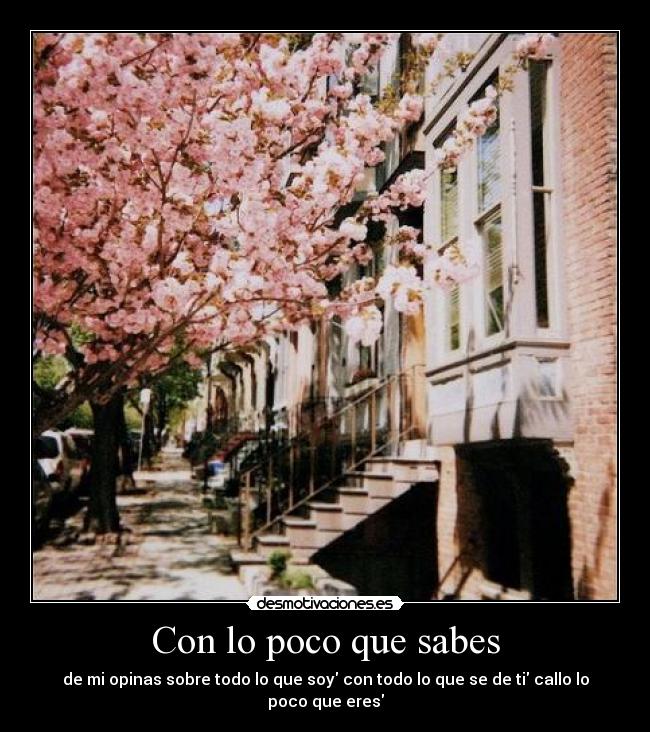 Con lo poco que sabes - de mi opinas sobre todo lo que soy con todo lo que se de ti callo lo poco que eres