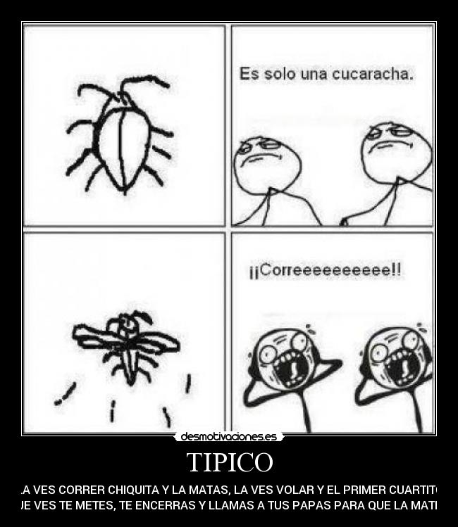 TIPICO - 
