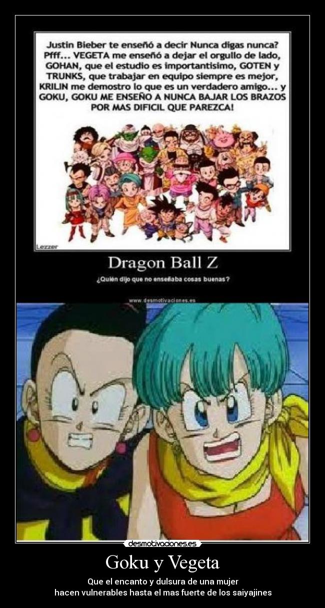 Goku y Vegeta -