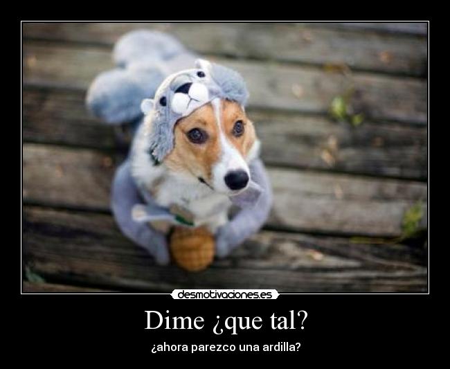 Dime ¿que tal? - ¿ahora parezco una ardilla?
