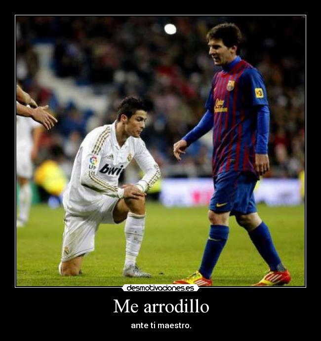 Me arrodillo - ante ti maestro.