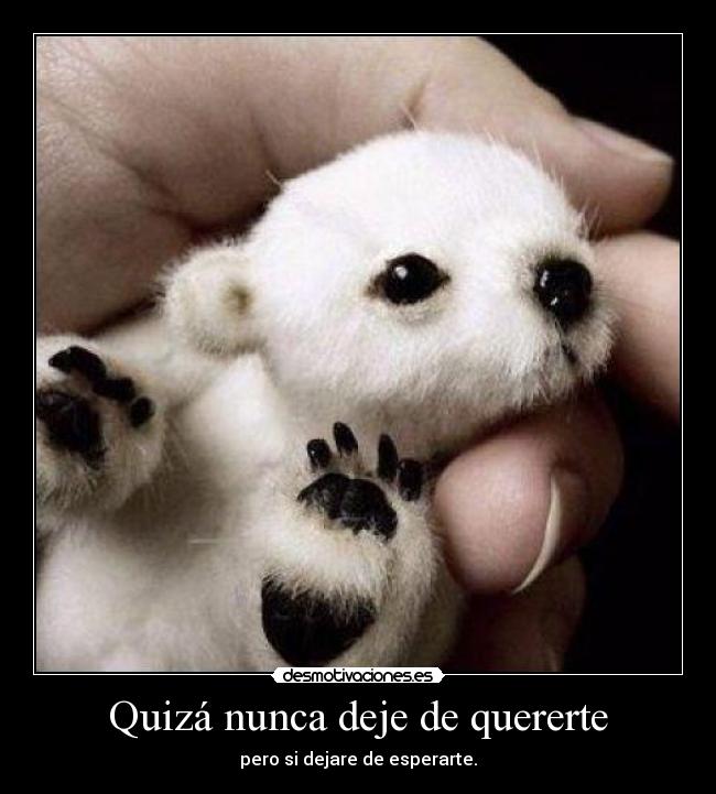 Quizá nunca deje de quererte - pero si dejare de esperarte.