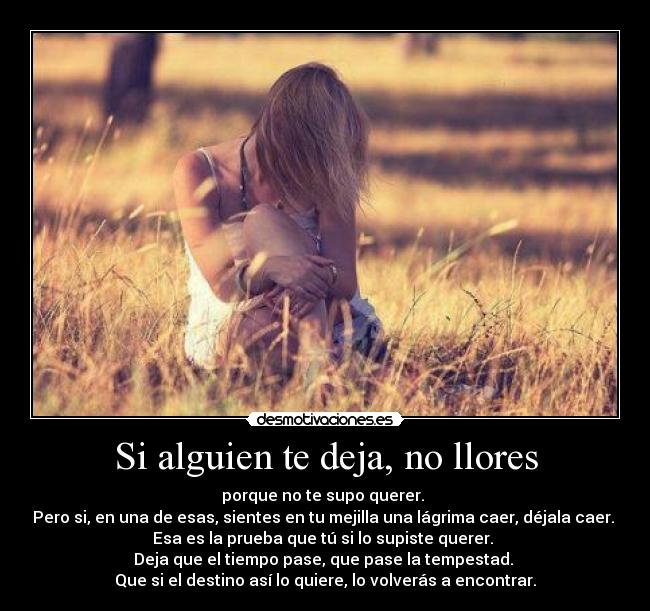 Si alguien te deja, no llores - porque no te supo querer. 
Pero si, en una de esas, sientes en tu mejilla una lágrima caer, déjala caer. 
Esa es la prueba que tú si lo supiste querer. 
Deja que el tiempo pase, que pase la tempestad. 
Que si el destino así lo quiere, lo volverás a encontrar.