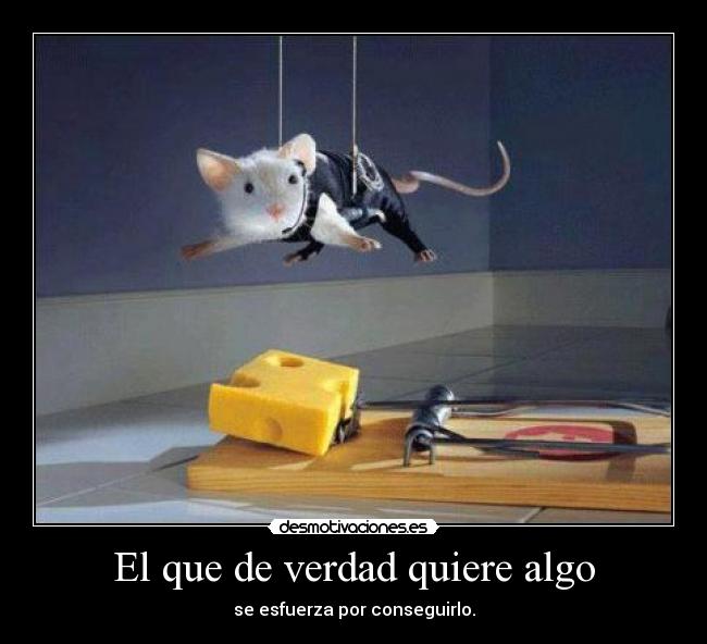 El que de verdad quiere algo - se esfuerza por conseguirlo.