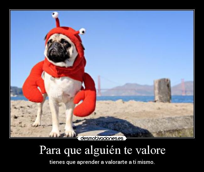 Para que alguién te valore - tienes que aprender a valorarte a ti mismo.