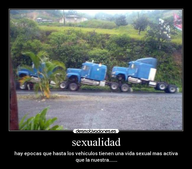 sexualidad - hay epocas que hasta los vehiculos tienen una vida sexual mas activa
que la nuestra.......