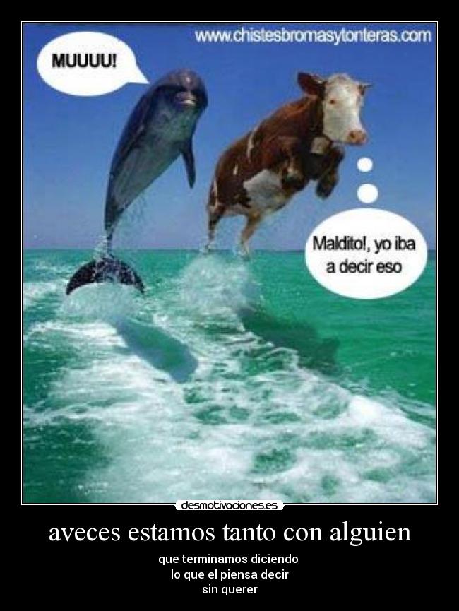 carteles vacas delfines repetir libreto desmotivaciones