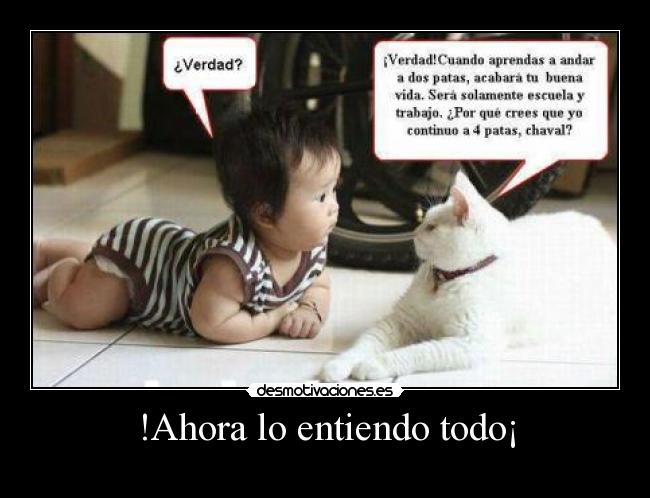 !Ahora lo entiendo todo¡ -