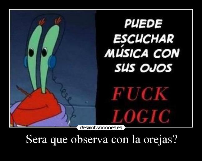 Sera que observa con la orejas? -