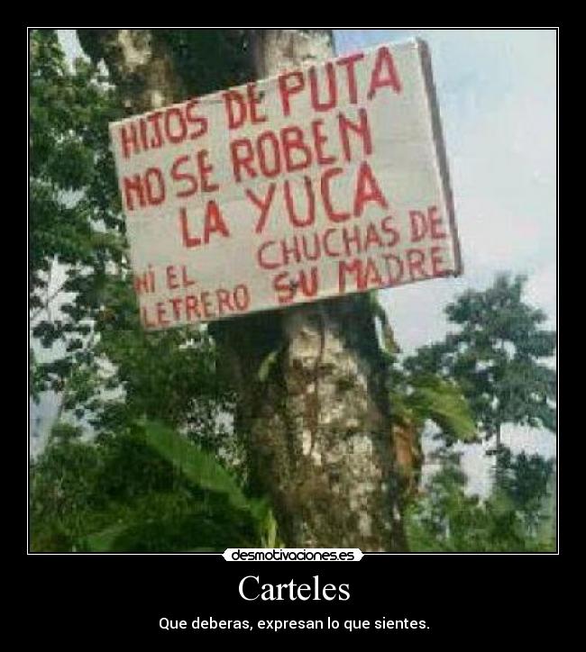 Carteles - Que deberas, expresan lo que sientes.