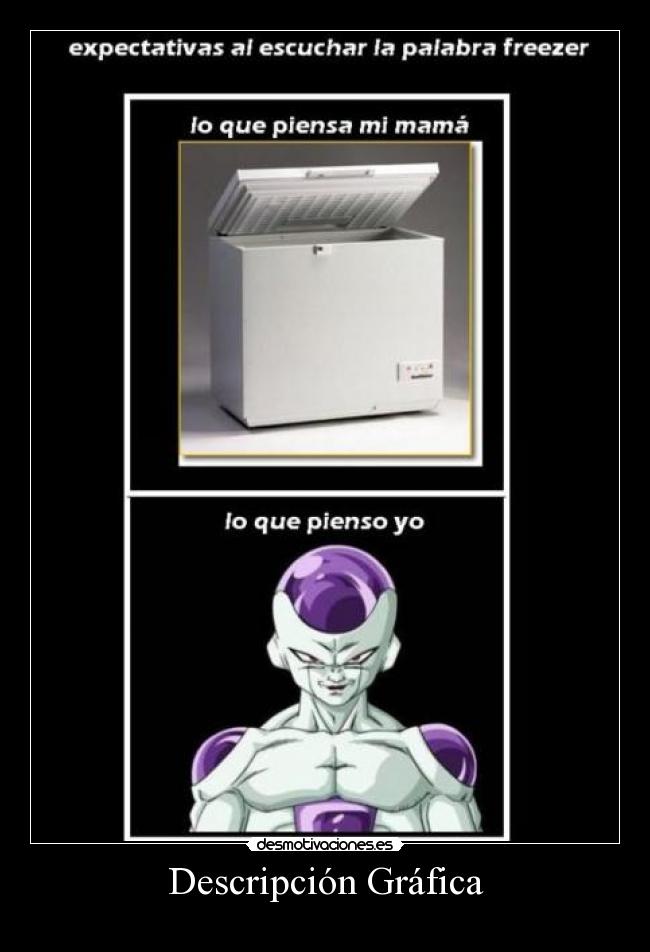 Descripción Gráfica - 