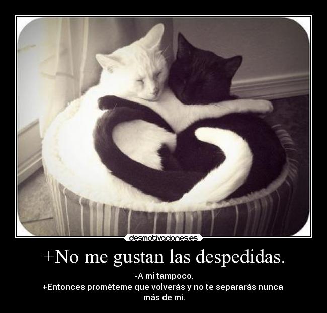 +No me gustan las despedidas. -