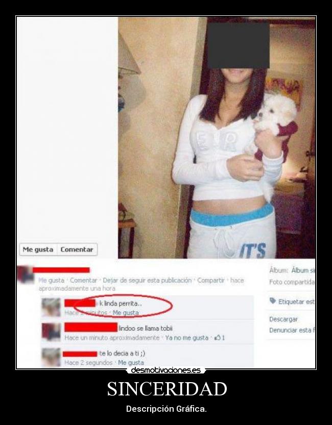 SINCERIDAD - Descripción Gráfica.