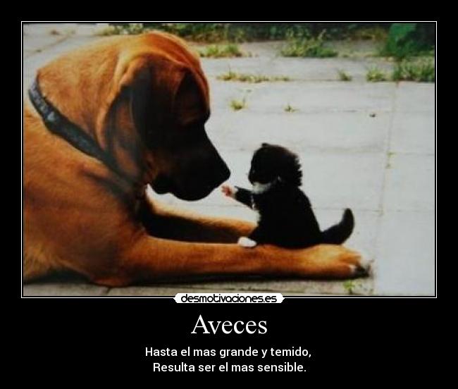 Aveces -
