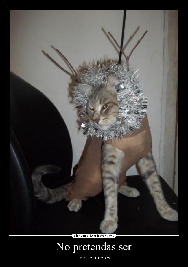 No pretendas ser - lo que no eres