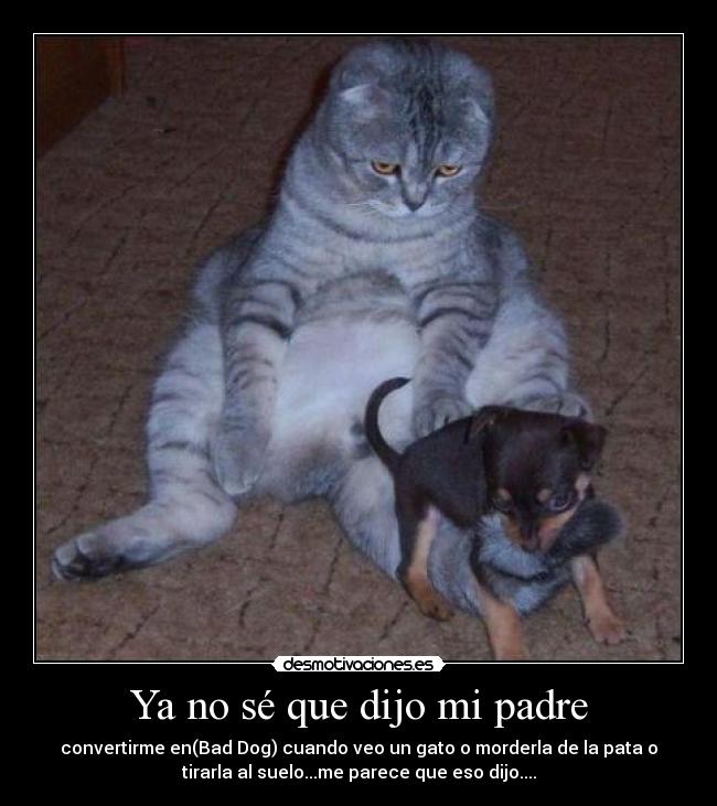 Ya no sé que dijo mi padre -