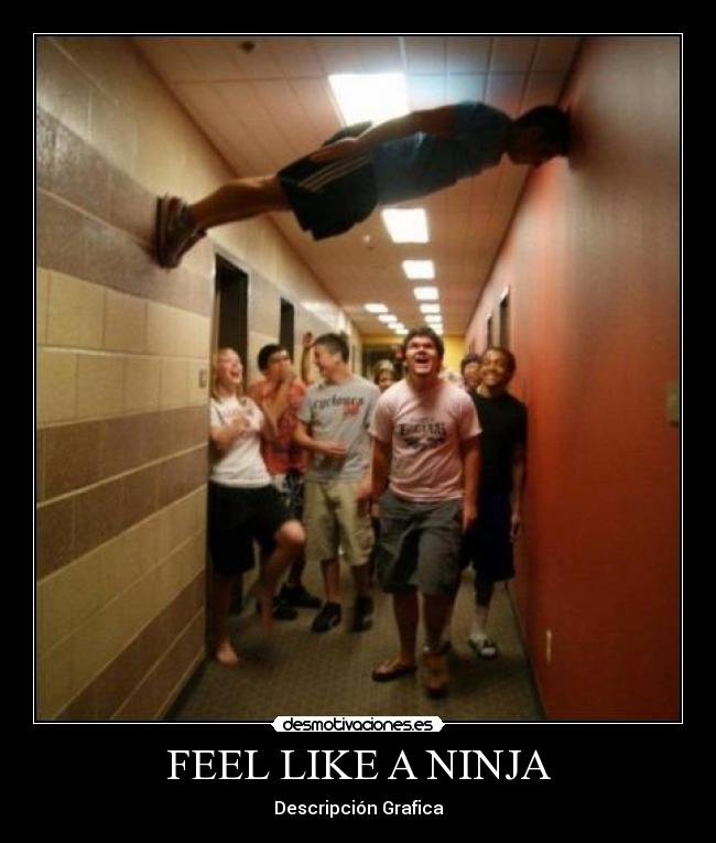 FEEL LIKE A NINJA - 