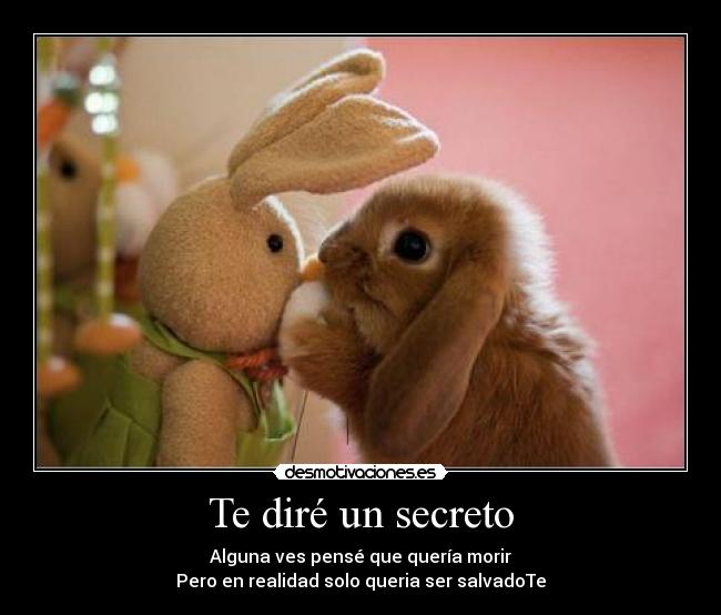 Te diré un secreto - Alguna ves pensé que quería morir
Pero en realidad solo queria ser salvadoTe