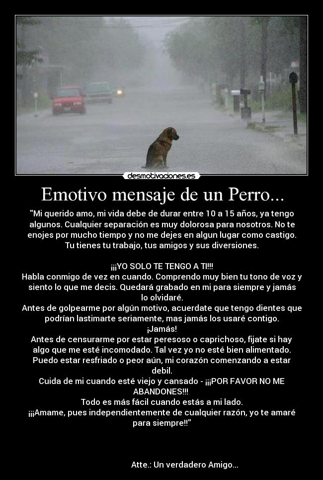 Emotivo mensaje de un Perro... -