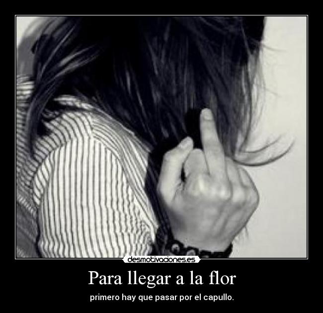 Para llegar a la flor - primero hay que pasar por el capullo.