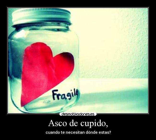 Asco de cupido, -