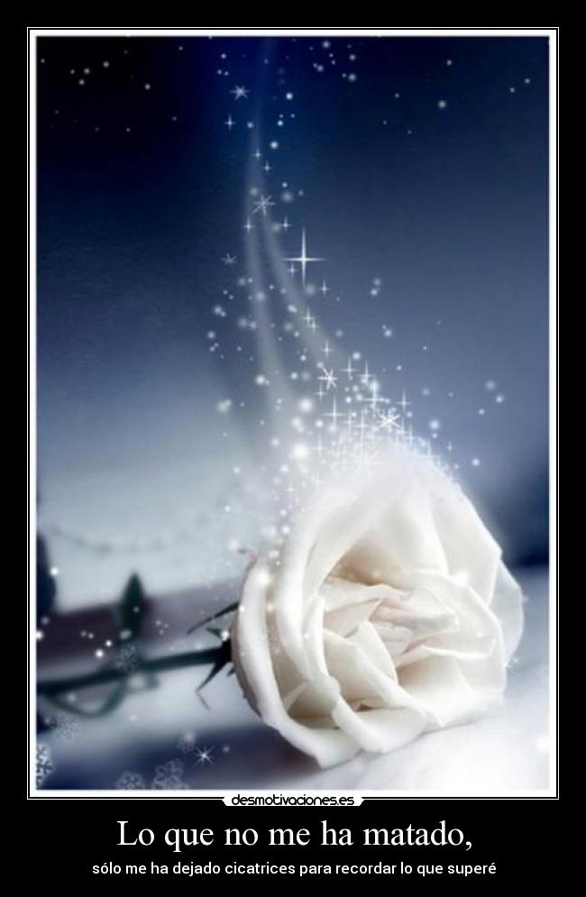 Lo que no me ha matado, - sólo me ha dejado cicatrices para recordar lo que superé