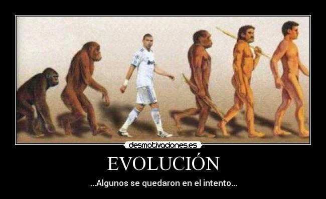 EVOLUCIÓN - ...Algunos se quedaron en el intento...