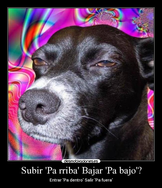 Subir Pa rriba Bajar Pa bajo? -