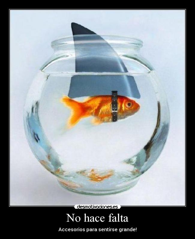 No hace falta - Accesorios para sentirse grande!