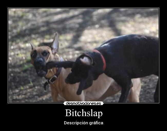 Bitchslap - Descripción gráfica