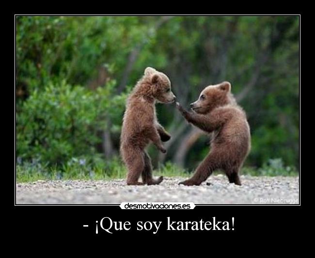 - ¡Que soy karateka! - 