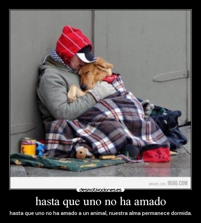 hasta que uno no ha amado - 