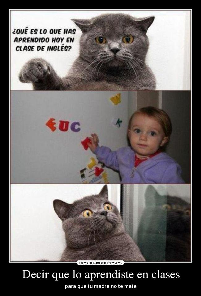 Decir que lo aprendiste en clases -