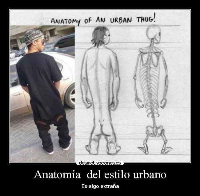 Anatomía del estilo urbano -