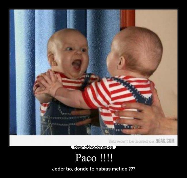 Paco !!!! - 