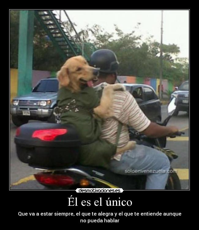 Él es el único -