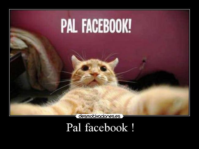 Pal facebook ! -