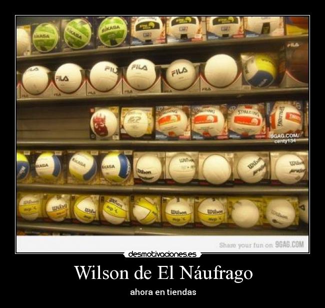 Wilson de El Náufrago -