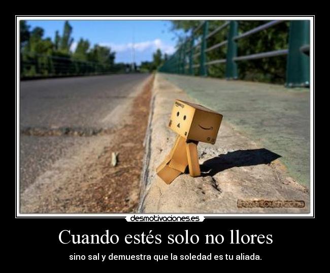 Cuando estés solo no llores -
