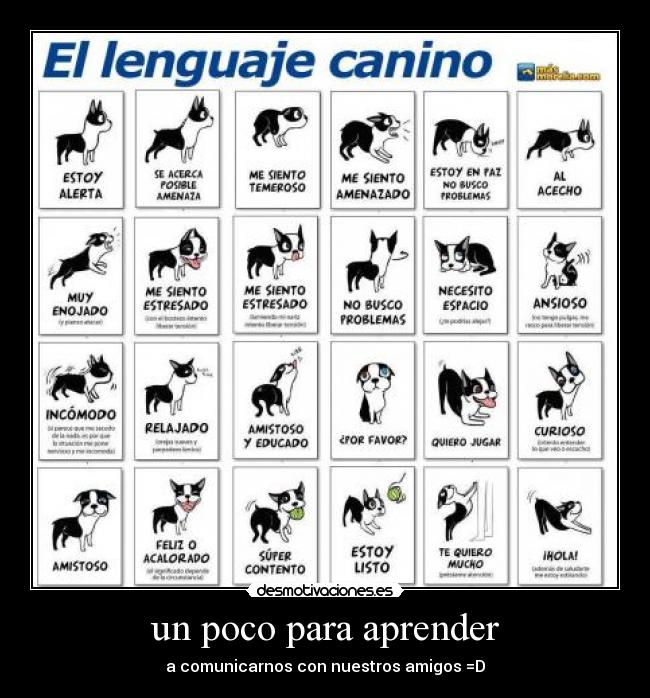 un poco para aprender - a comunicarnos con nuestros amigos =D