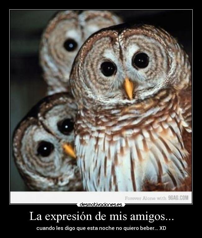 La expresión de mis amigos... - 