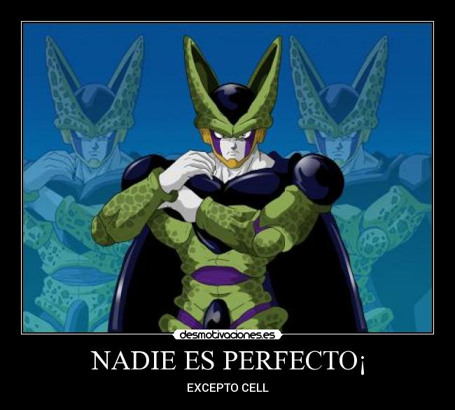 NADIE ES PERFECTO¡ -