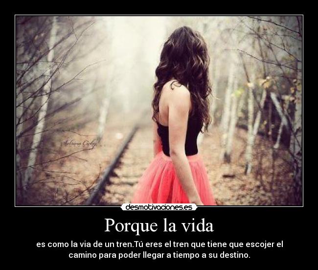 Porque la vida - es como la via de un tren.Tú eres el tren que tiene que escojer el
camino para poder llegar a tiempo a su destino.
